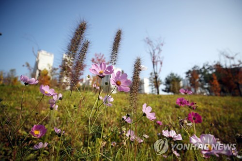 토요일 서리 내리고 큰 일교차…11월 첫날엔 오랜만에 비소식