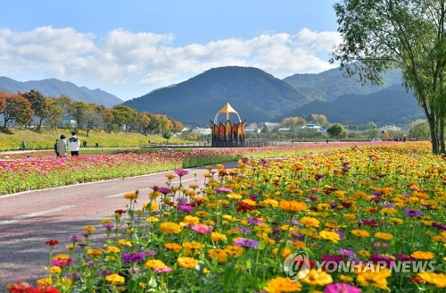 '10월의 끝에서' 남쪽으로 내려온 단풍 절정…유명산마다 북적