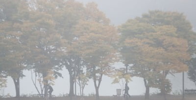 내일 새벽 '짙은 안개'…경기 북부·강원 영서 북부는 '한파 특보' 가능성