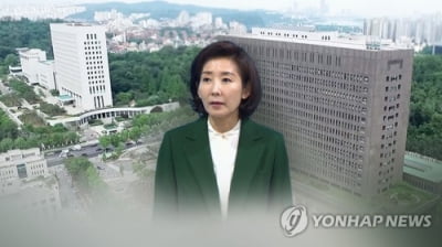 나경원 '선거법 위반' 고소·고발건 모두 무혐의(종합2보)