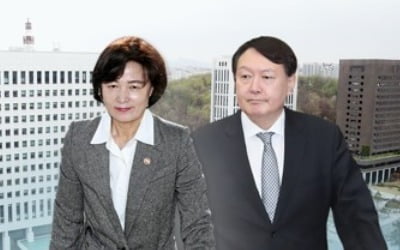 대검 "'야권 로비 의혹'도 수사 지시…반대로 발표"