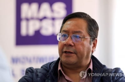 볼리비아 대통령 당선인 "모랄레스, 새 정부서 역할 안 맡는다"