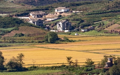 우린 종전선언 외치는데…北, 작년 대남 비난행위 6.5배 급증