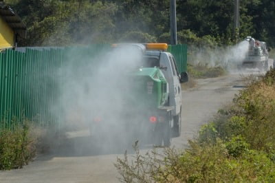 가축전염병 확산 '비상'…부산시, 내년 2월까지 특별방역