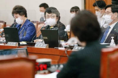 김진애, 국감장에서 '라임' 김봉현 로비 의혹 검사 실명 공개