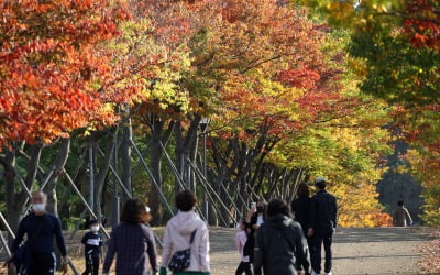 내일 전국 대체로 '흐림'…새벽 한 때 비소식도