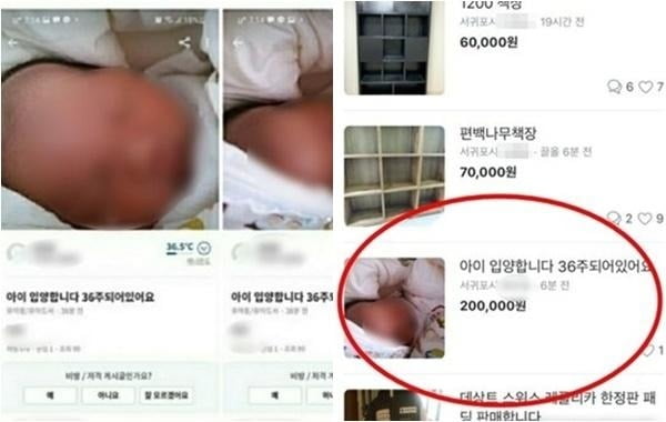 A씨가 중고 물품 거래 모바일 앱에 올린 입양 게시글. [사진=해당 모바일 앱 캡처]