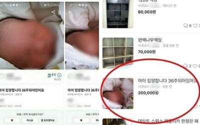 "20만원에 아이 입양합니다"…온라인 글 올린 미혼모 입건