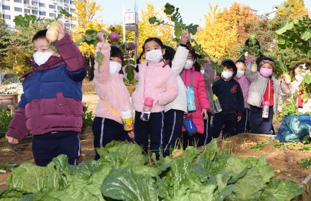 도심 속 가을걷이…밭작물 수확 체험 하는 어린이들