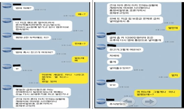 "나 돈 좀 보내줘 엄마"…카톡피싱 피해 297억원, 전년비 25%↑