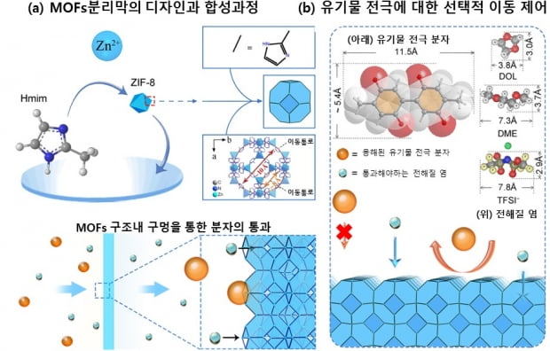 MOFs 분리막 공정을 통한 유기물 전극 이동의 선택적 제어. 사진=서울대학교 제공