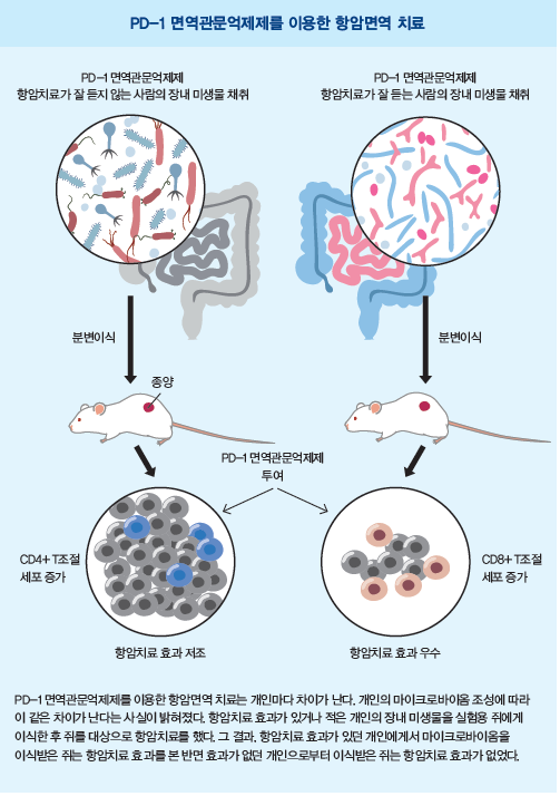 [커버스토리 part.2] 장내 미생물은 어떻게 신약이 됐나