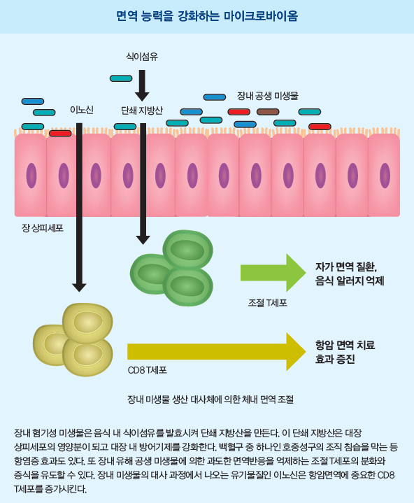 [커버스토리 part.2] 장내 미생물은 어떻게 신약이 됐나