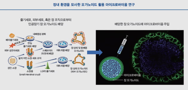 [커버스토리 part.3] 마이크로바이옴 연구의 허들 극복 방안