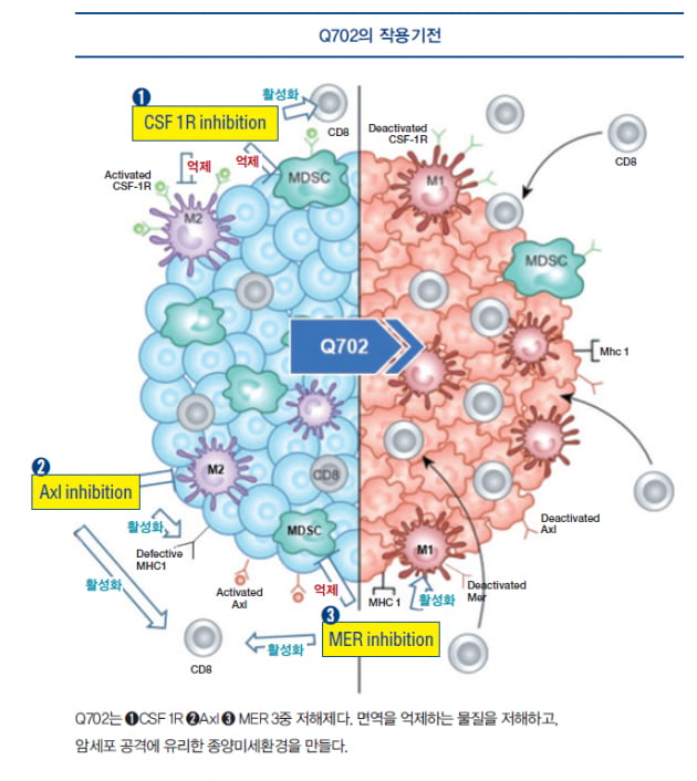 [파이프라인 아카이브] ❷ 큐리언트 면역항암제 ‘Q702’