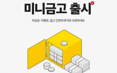 "비상금 따로 보관하세요"… 카카오페이·증권 '미니금고' 출시