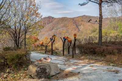 증평군 좌구산 분젓치 산새길 비대면 관광지 100선 선정