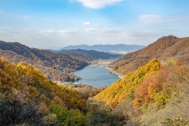 증평군 좌구산 분젓치 산새길 비대면 관광지 100선 선정