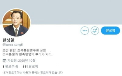"김치 생각하니 군침 돈다"…트위터에 '北 주민' 계정 등장