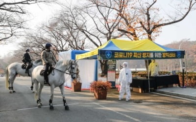 한국마사회, 내일부터 무관중 '승마 대회' 재개