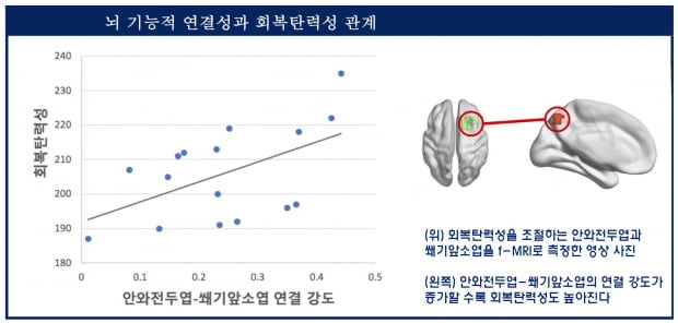 '보수-진보' 뇌 기능부터 달랐다…자기조절능력 5배 차이