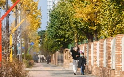 "쾌적한 등교길"…아우디폭스바겐, '초록빛 통학로' 조성