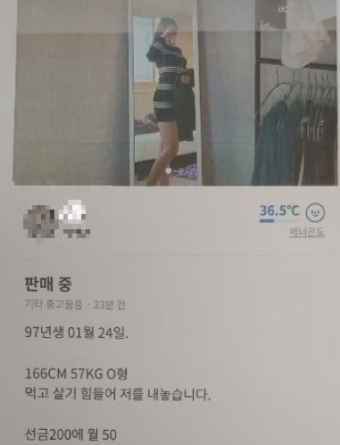 "월 50만원"…이번엔 당근마켓 '23세 女' 판매글 파문