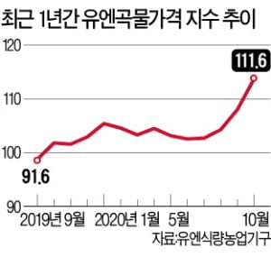 세계 곡물 공급망 깨져 가격 급등…글로벌 식량위기 '비상'