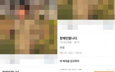 당근마켓, '장애인 팝니다' 이어 사진 도용 논란까지…대책은?