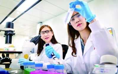  LG화학, 40년 넘게 신약 R&D 노하우 축적…글로벌 오픈 이노베이션 '속도'