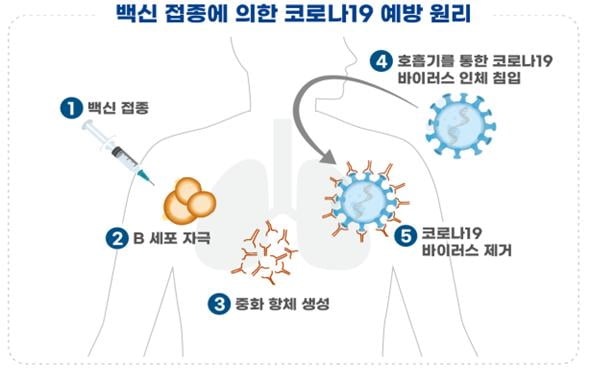 SK바이오사이언스, 코로나 백신 임상 착수