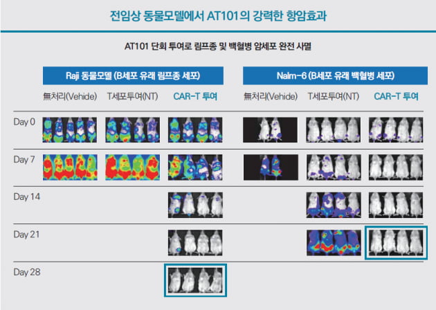 [코스닥] 앱클론, CAR-T 등 세포치료제·항체 신약 개발