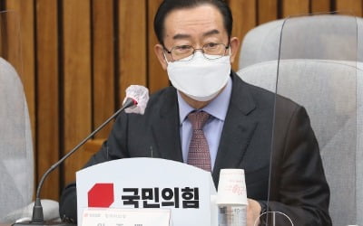 [속보] 국민의힘, 예산안에 3차 재난지원금 편성 공식 추진