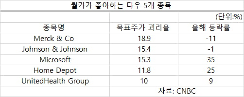 다우지수 3만 돌파…개미들 노릴 만한 아직 덜 오른 주식은