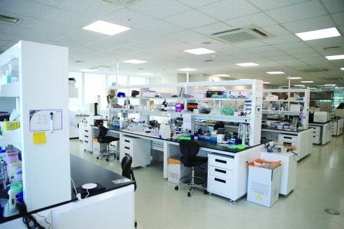 보로노이는 차세대 인산화효소 저해제인 정밀의학 표적치료제 개발 분야에서 글로벌 경쟁력을 갖춘 회사로 성장했다. 