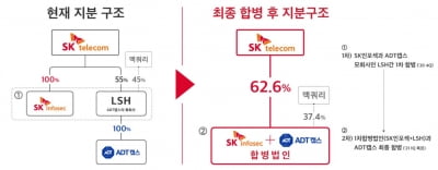 SKT "1위 보안전문기업 될 것"…ADT캡스·SK인포섹 합병