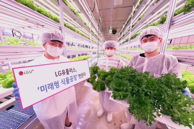 LG유플러스, ‘미래형 식물공장’ 만든다