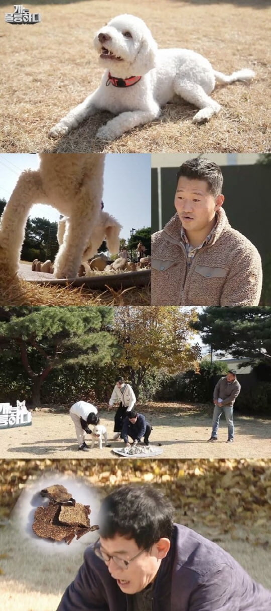 '개는 훌륭하다'(사진=KBS) 