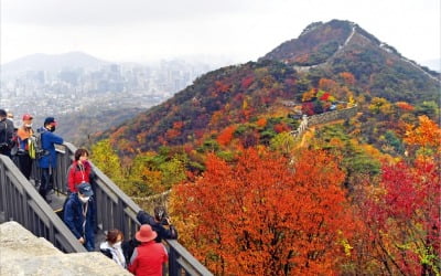 [포토] 북악산 철문 52년 만에 열렸다