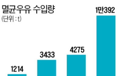 수입 멸균우유 '이유 있는' 폭발 성장