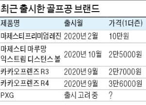 46g 골프공이 뭐길래…너도나도 뛰어드는 까닭