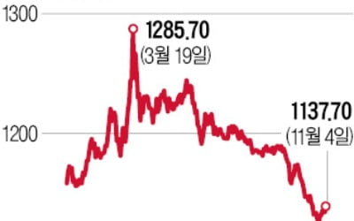 "출렁임 커진 환율, 당분간 1110~1150원 오갈 것"