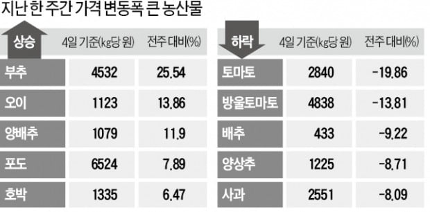 추워진 날씨에…부추 25%·오이 13% 올라