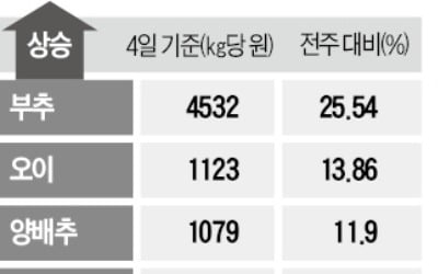 추워진 날씨에…부추 25%·오이 13% 올라