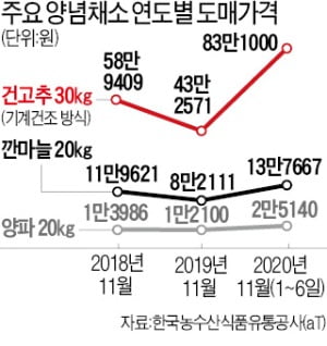 배추가격 한숨 돌렸더니…김장철 양념채소값 급등