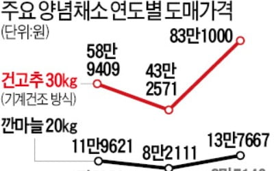 배추가격 한숨 돌렸더니…김장철 양념채소값 급등