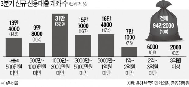 2억원 이상 대출자는 전체의 1%도 안됐다