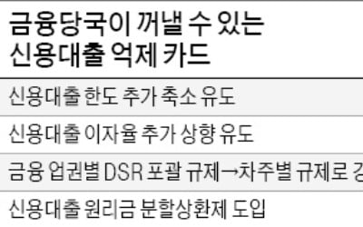 '신용대출 속도조절' 추가로 남은 카드는…DSR 강화·분할상환제 '만지작'