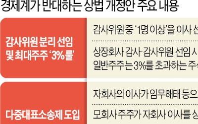 與 '3%룰' 한발 물러섰지만…경제계 "3중 규제가 2중 규제 된 것뿐"