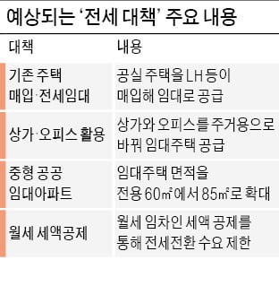 이번주 '전세 대책'…매입·전세임대 공급 확대할 듯